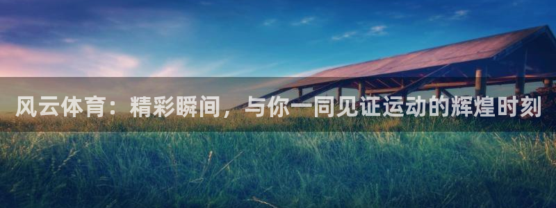 熊猫跳舞视频：风云体育：精彩瞬间，与你一同见证运动的辉煌时刻