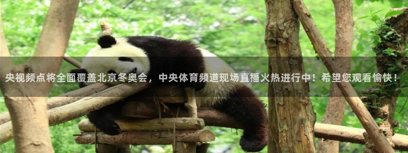 熊猫怎么直播：央视频点将全面覆盖北京冬奥会，中央体育频道现场直播火热进行中！希望您观看愉快！