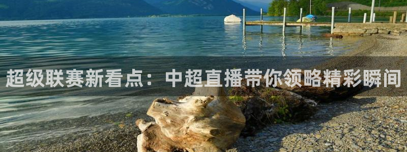 直播:熊猫：超级联赛新看点：中超直播带你领略精彩瞬间