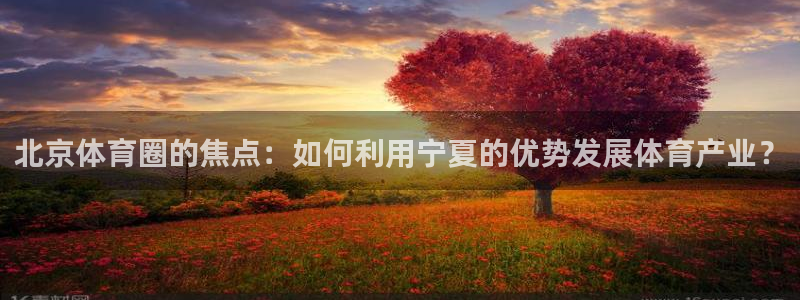 熊猫体育网址：北京体育圈的焦点：如何利用宁夏的优势发展体育产业？