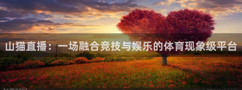 熊猫直播下载免费安装：山猫直播：一场融合竞技与娱乐的体育现象级平台