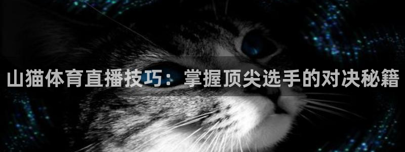 熊猫体育平台官网：山猫体育直播技巧：掌握顶尖选手的对决秘籍