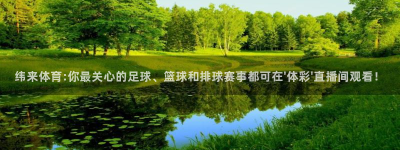 熊猫nba直播视频：纬来体育:你最关心的足球、篮球和排球赛事都可在\'体彩\'直播间观看！