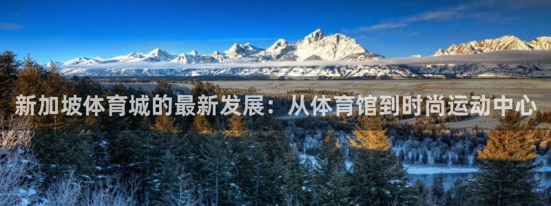 熊猫体育平台官网：新加坡体育城的最新发展：从体育馆到时尚运动中心