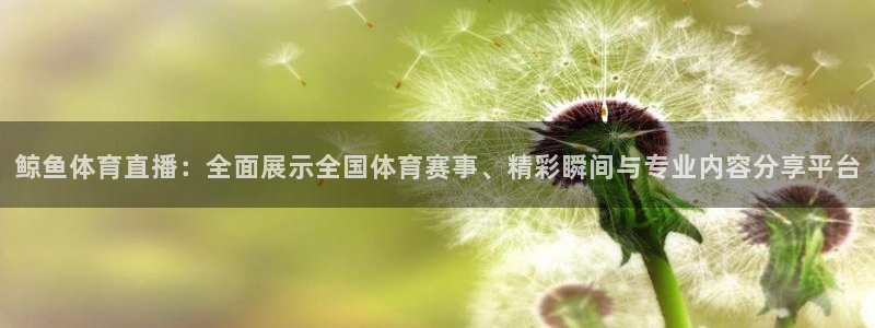 熊猫游戏直播：鲸鱼体育直播：全面展示全国体育赛事、精彩瞬间与专业内容分享平台