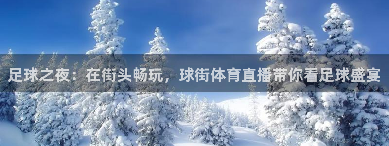 下载熊猫直播app：足球之夜：在街头畅玩，球街体育直播带你看足球盛宴