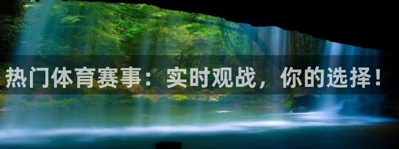 熊猫视频 直播：热门体育赛事：实时观战，你的选择！