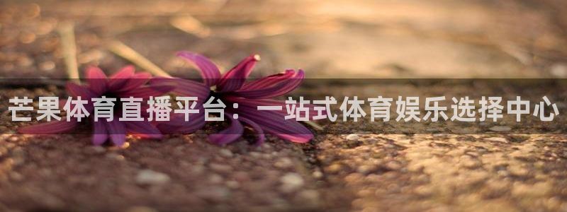 熊猫体育足球直播在线观看：芒果体育直播平台：一站式体育娱乐选择中心