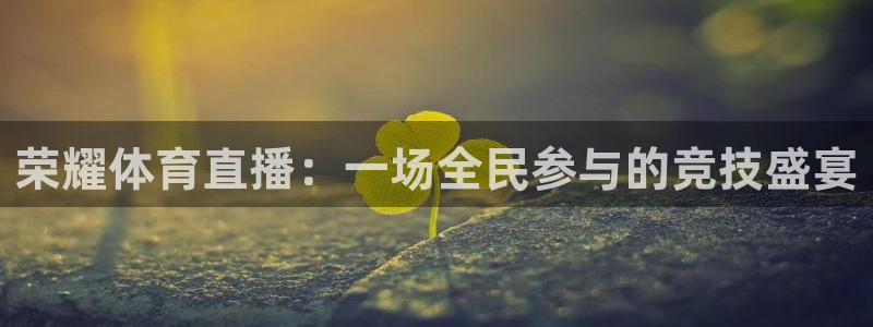 熊猫怎么直播：荣耀体育直播：一场全民参与的竞技盛宴